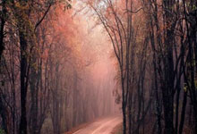 卡昂主场战胜亚眠，赢得两连胜